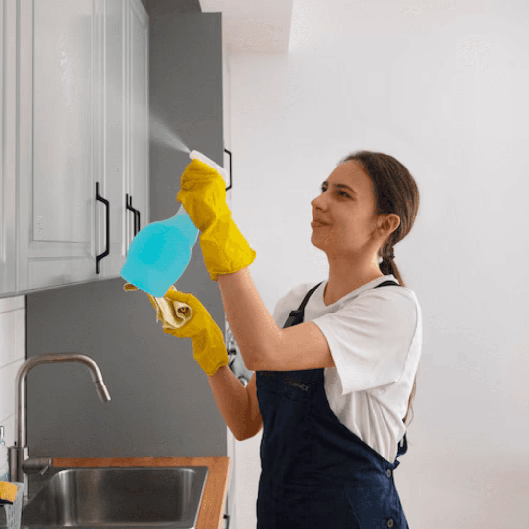 Kitchen Cleaning
